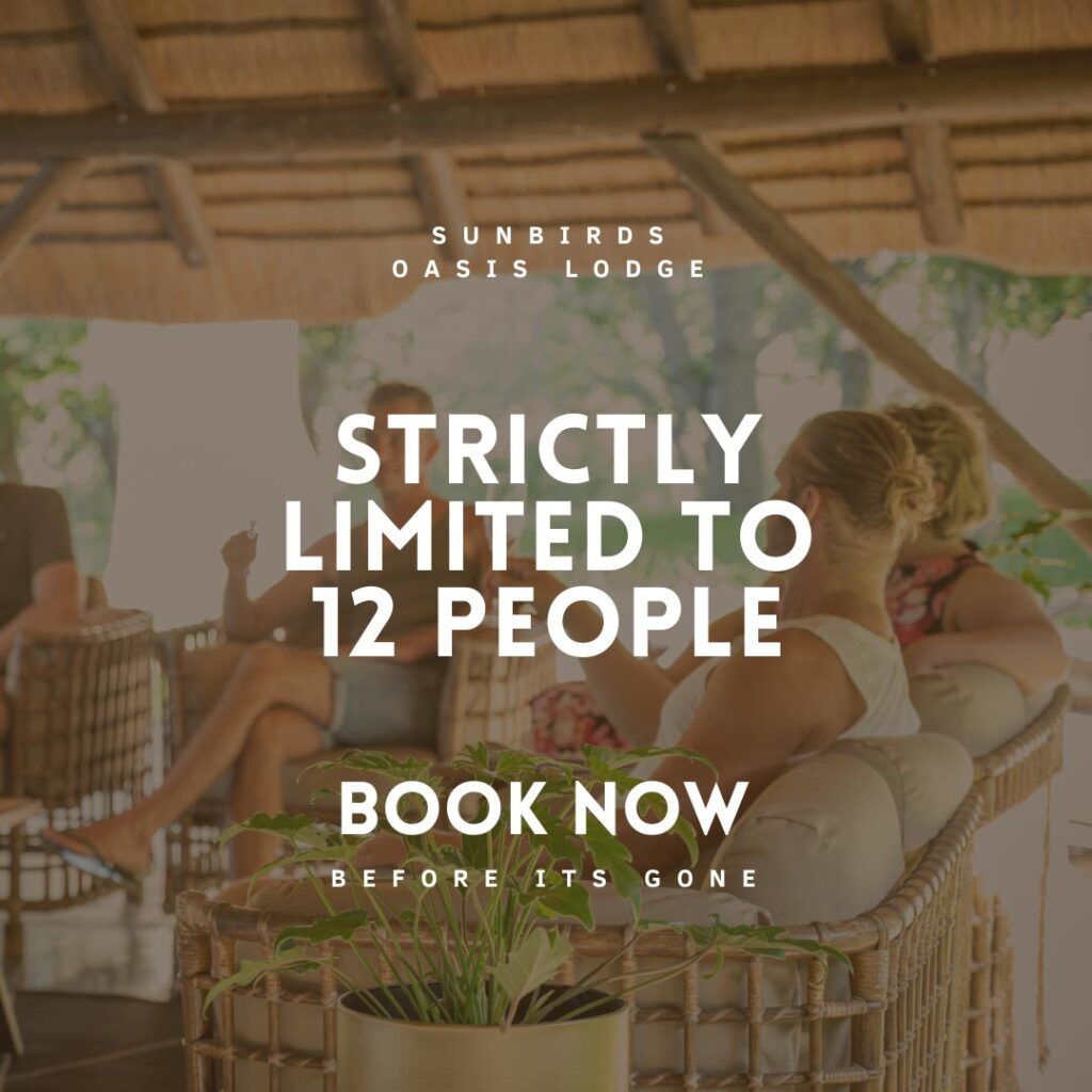 Sunbirds Oasis Lodge: Ssparkling Bush Gourmet Safari
